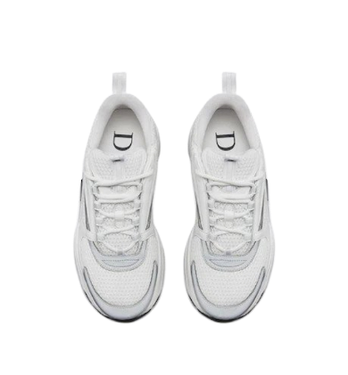 Sneakers Dior b22